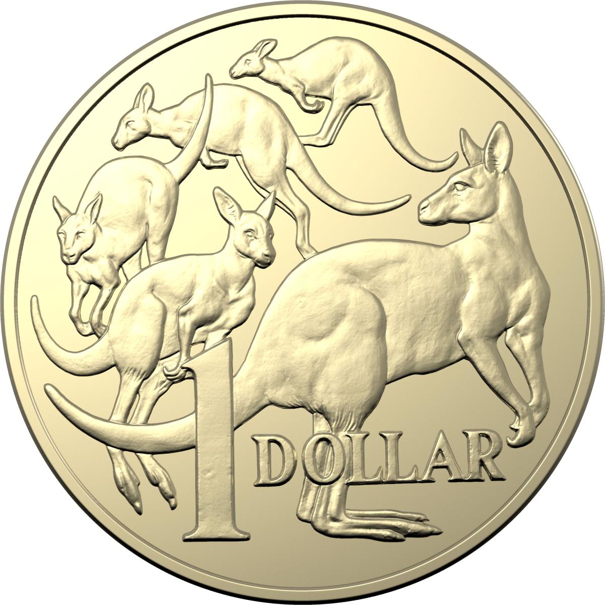 Australian Koala Foundation Donation