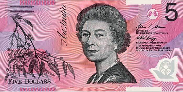 Australian Koala Foundation Donation